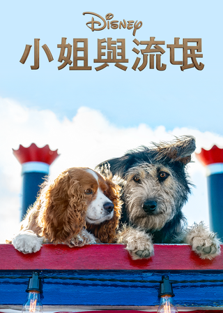 《小姐與流氓》電影海報