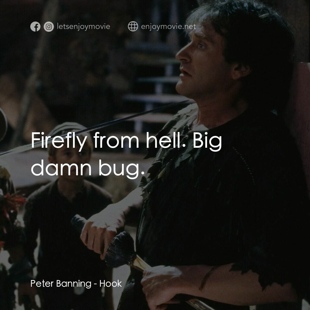 虎克船長電影對白：Peter Banning:  Firefly from hell. Big damn bug.