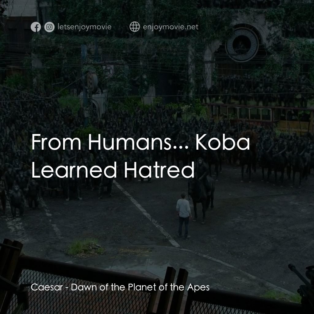 猩球崛起：黎明的進擊電影對白：Caesar: From Humans... Koba Learned Hatred