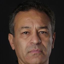 泰豐巴德姆索伊 飾演 Gürol Öztürk