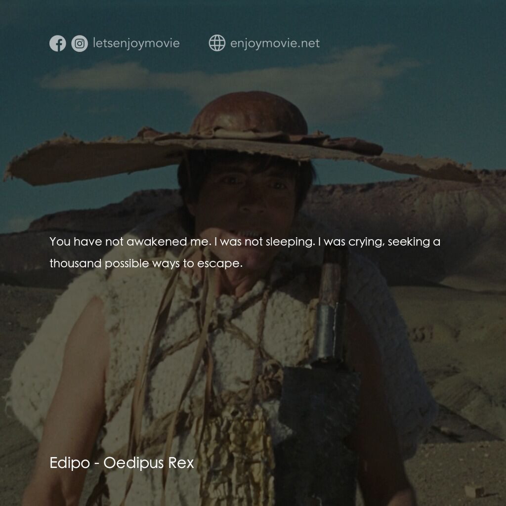伊迪帕斯王電影對白：Edipo:  You have not awakened me. I was not sleeping. I was crying, seeking a tho