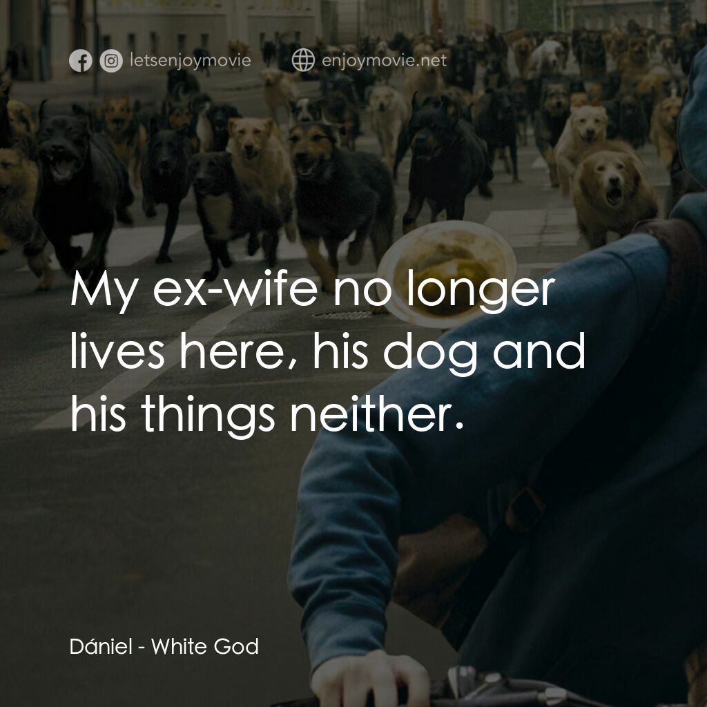 狗眼看人間電影對白：Dániel:  My ex-wife no longer lives here, his dog and his things neither.