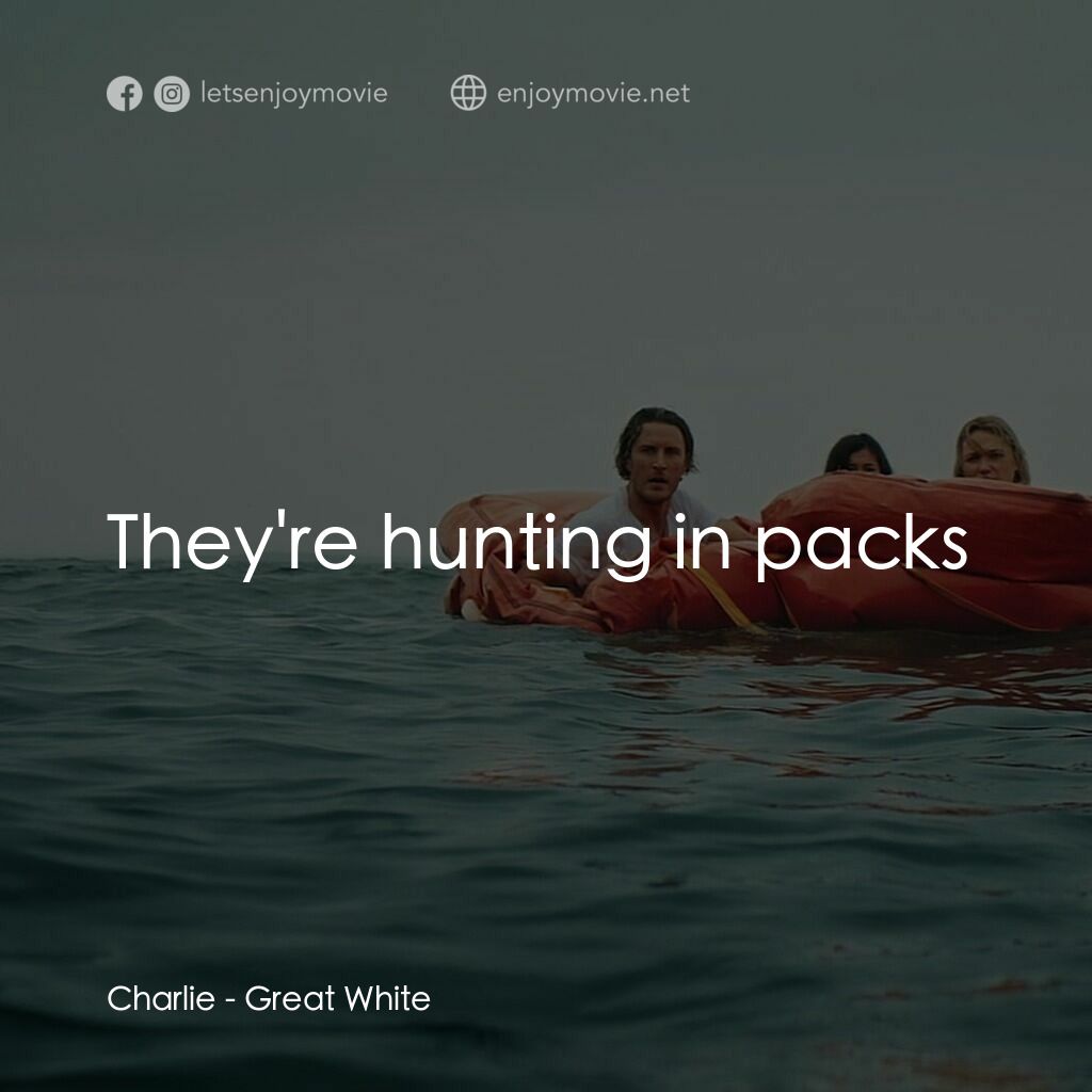 《白色巨鯊》經典台詞：Charlie:  They're hunting in packs