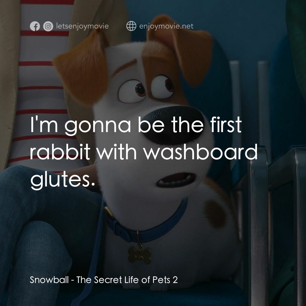 Pet Pet當家 2電影對白：Snowball:  I'm gonna be the first rabbit with washboard glutes.