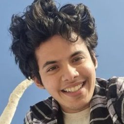 達席爾·薩法瑞 - 心中的小星星演員 飾演Ishaan Nandkishore Awasthi