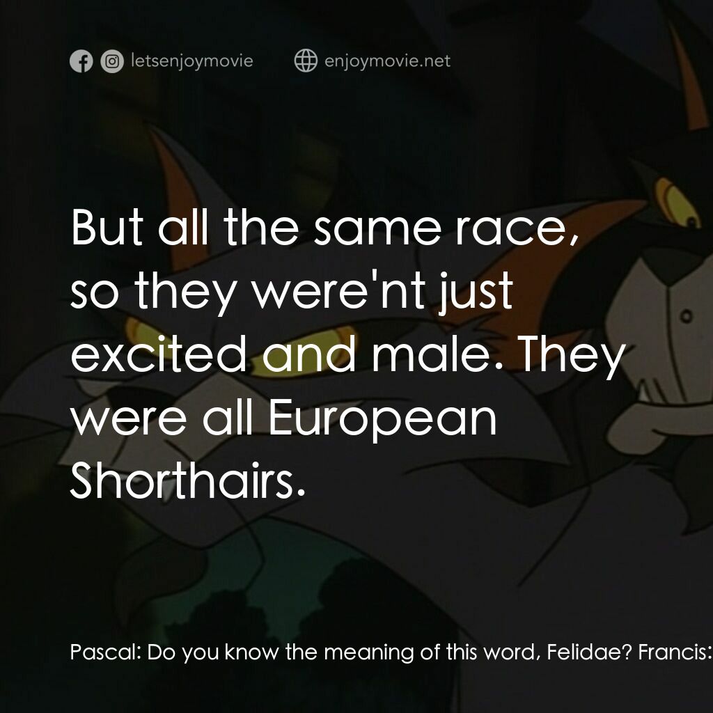 怪貓費力德電影對白：Pascal:  Do you know the meaning of this word, Felidae? Francis:  Could it be a s