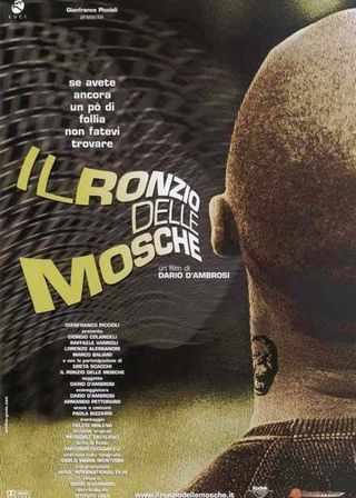 《Il ronzio delle mosche》電影海報