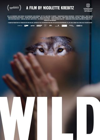 《狼的誘惑》電影海報