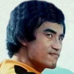 張一道  飾演 The Green Hornet