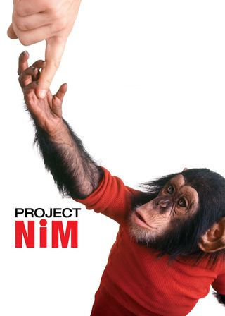 《寧姆計劃》電影海報