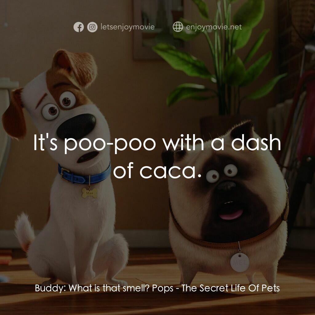 寵物當家電影對白：Buddy:  What is that smell? Pops:  It's poo-poo with a dash of caca.