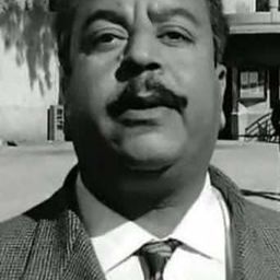 Hussain Ismael 飾演 Sheikh Shenawy