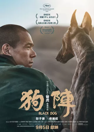 電影的資料