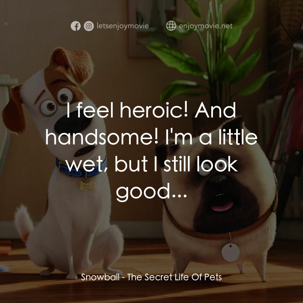 寵物當家電影對白：Snowball:  I feel heroic! And handsome! I'm a little wet, but I still look good..