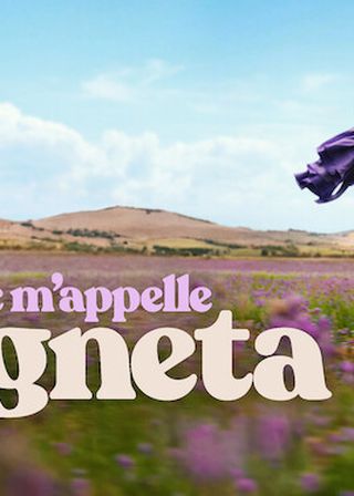 《我叫艾妮塔》電影海報