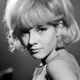 Sylvie Vartan 飾演 Stéphane Feuvrier