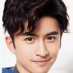 張雲龍 飾演 Gao Mang