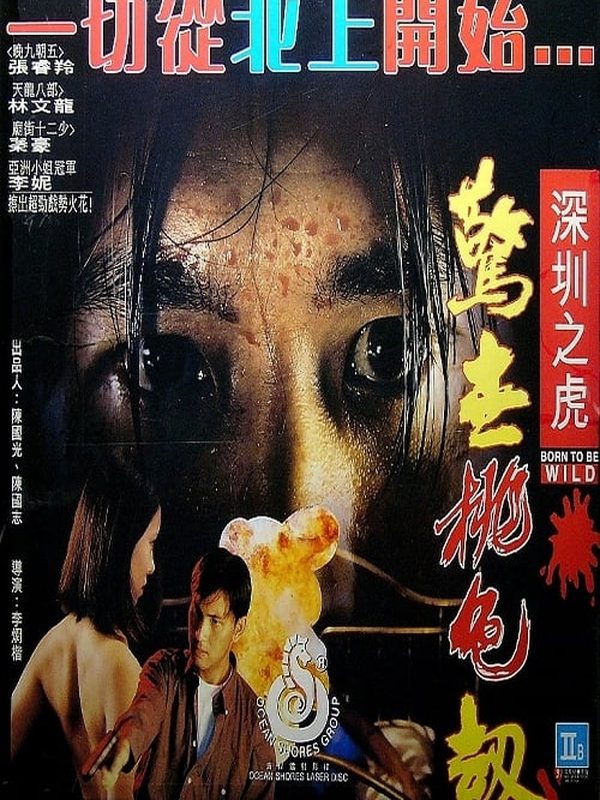 深圳之虎驚世桃色劫電影劇照