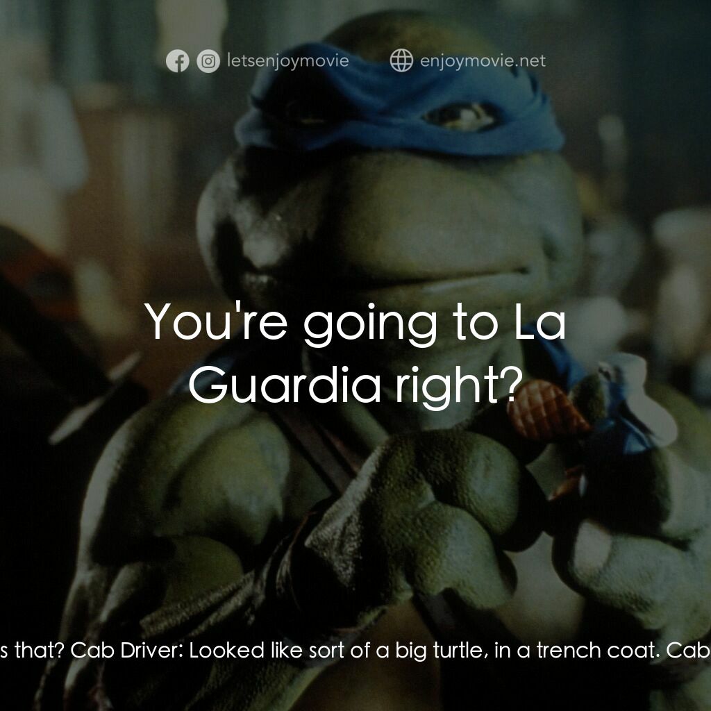 忍者龜電影對白：Passenger in Cab:  What the heck was that? Cab Driver:  Looked like sort of a big