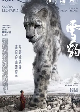 《雪豹》電影海報