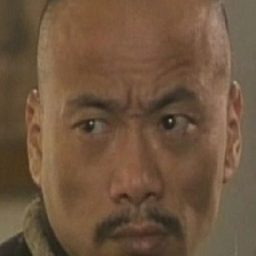 淩峰  飾演 Liu Yansheng