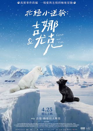 《北極小迷狐 吉娜 尤克》電影海報