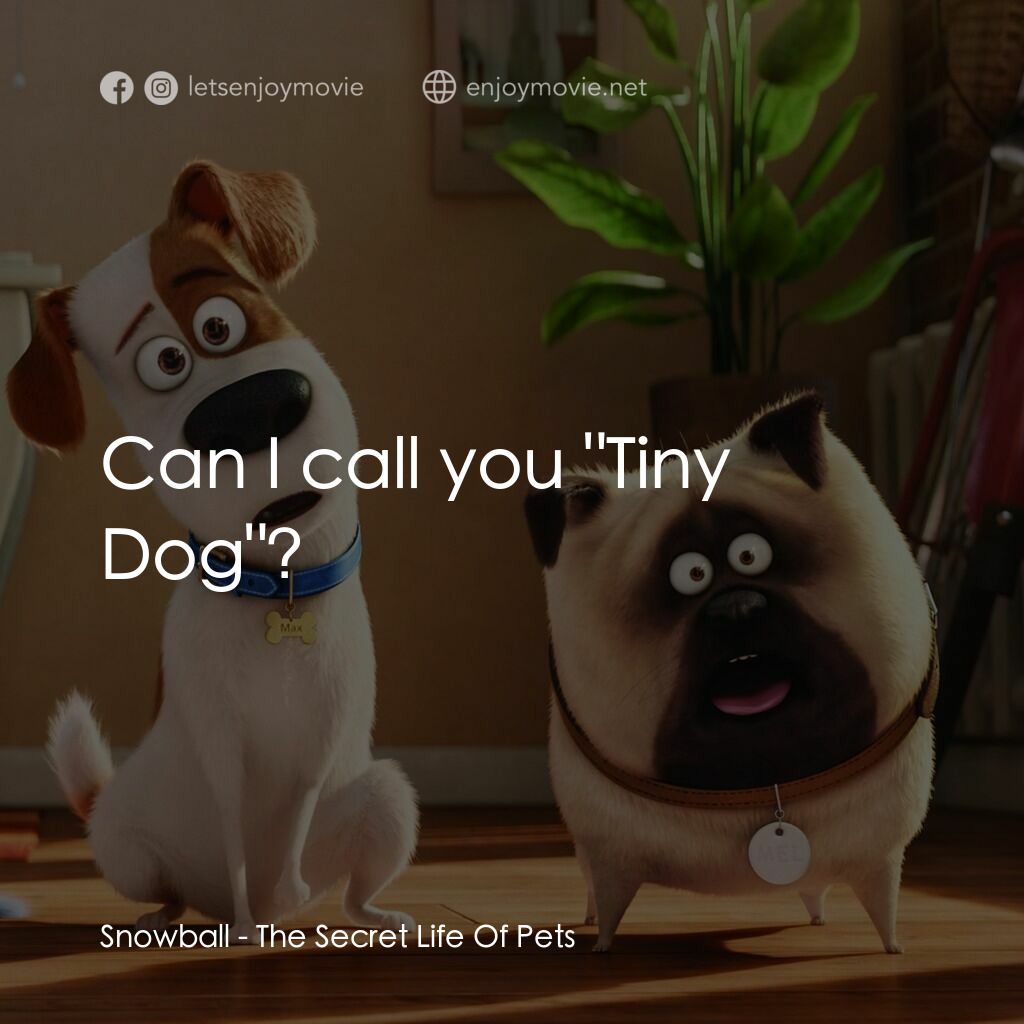 寵物當家電影對白：Snowball:  Can I call you 