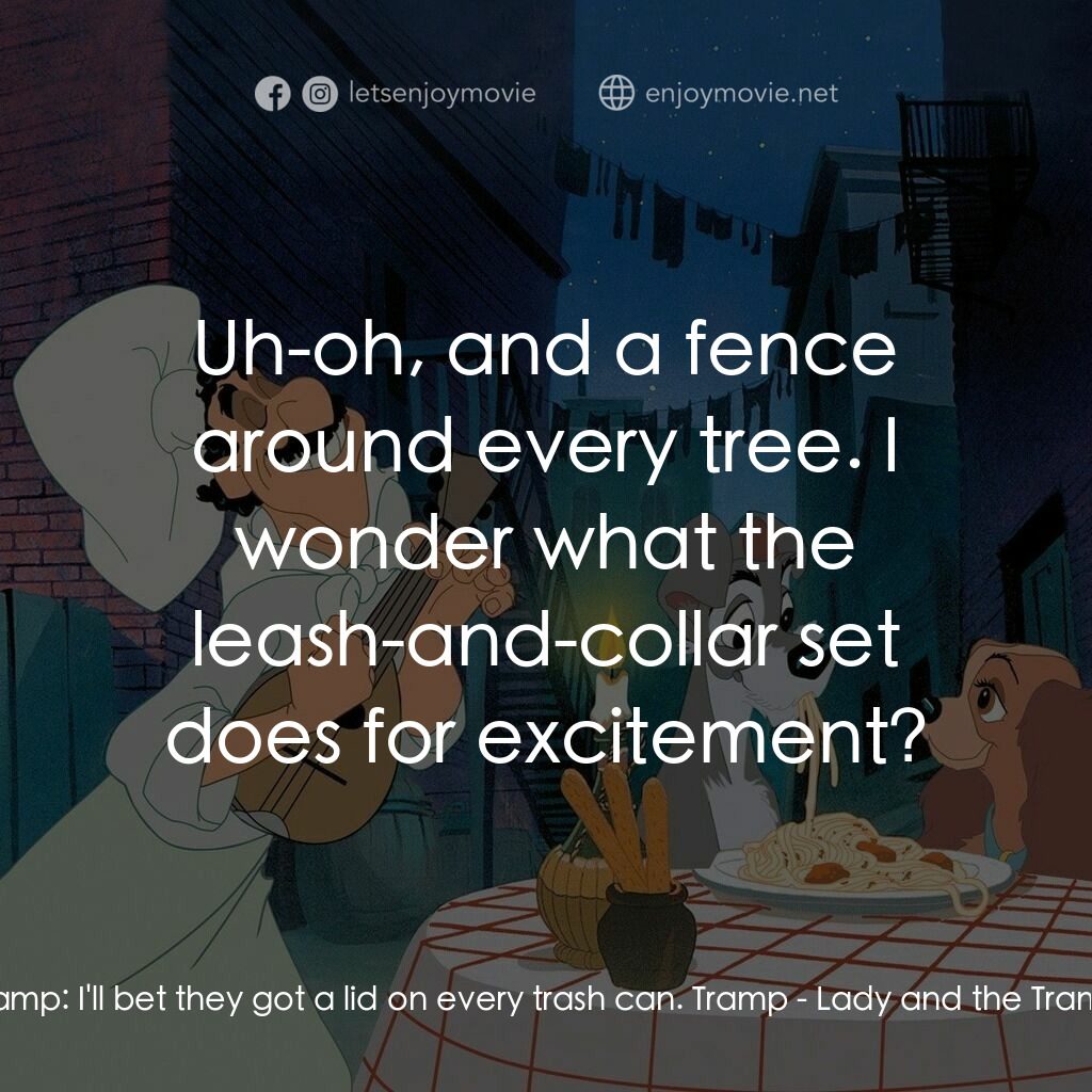小姐與流氓電影對白：Tramp:  I'll bet they got a lid on every trash can. Tramp:  Uh-oh, and a fence ar