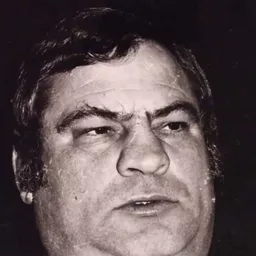 Ennio Antonelli 飾演 