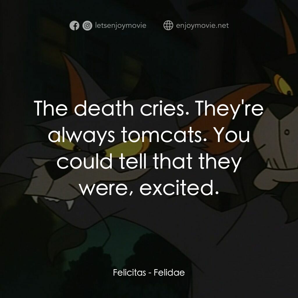 怪貓費力德電影對白：Felicitas:  The death cries. They're always tomcats. You could tell that they wer