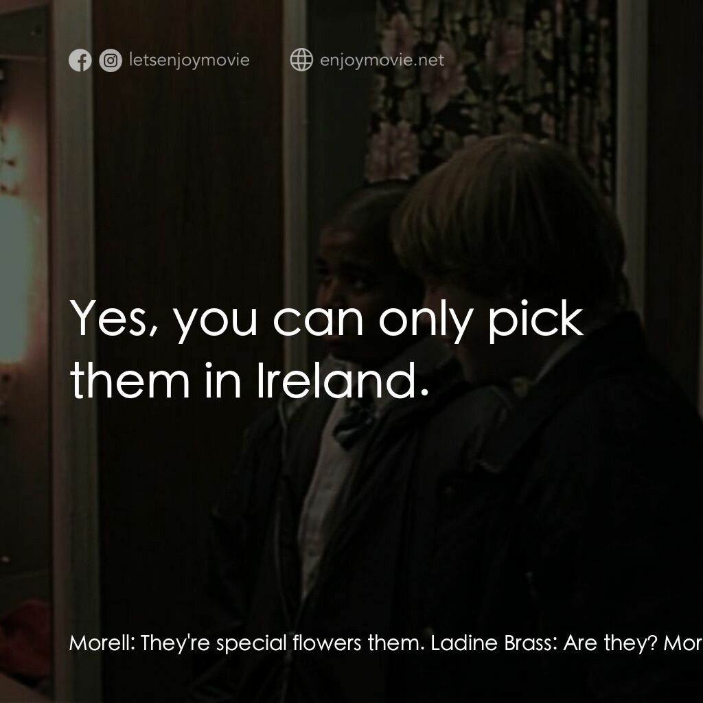 羅密歐·布拉斯的房間電影對白：Morell:  They're special flowers them. Ladine Brass:  Are they? Morell:  Yes, you