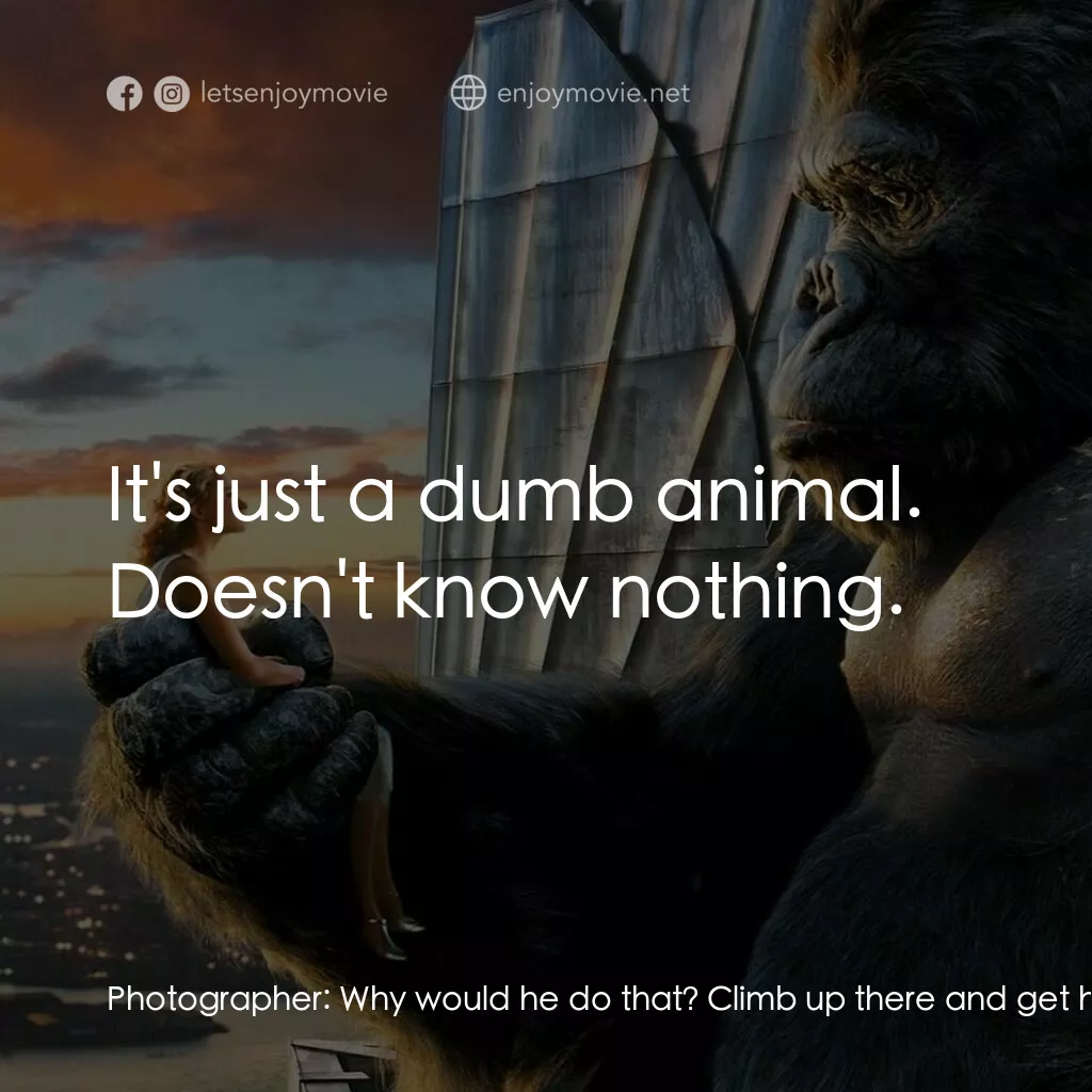 金剛電影對白：Photographer:  Why would he do that? Climb up there and get himself cornered? The