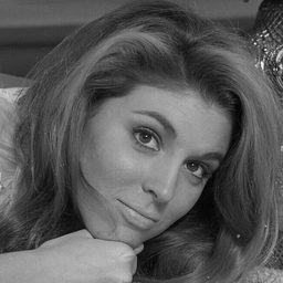 Dixie Peabody - 夜班護士演員 飾演Robin