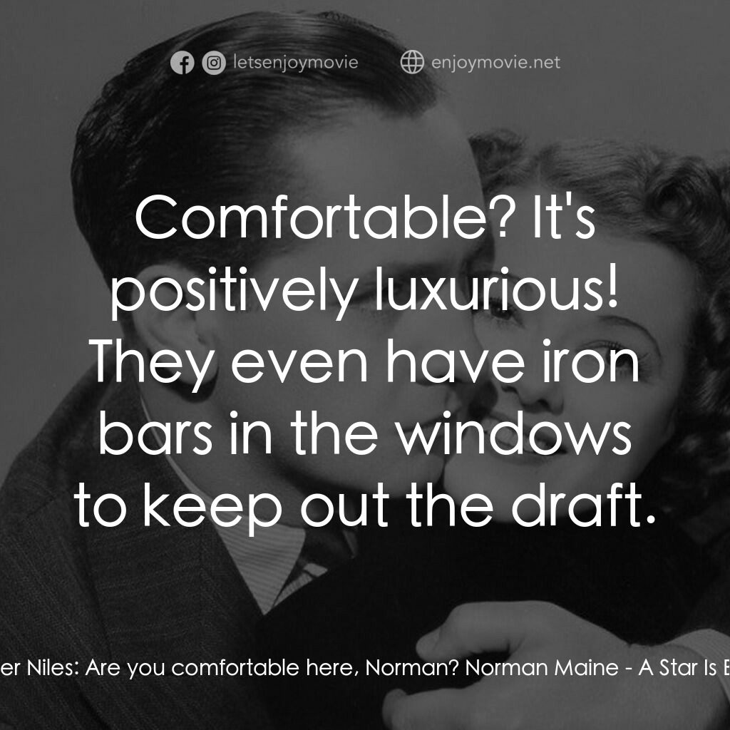 A Star Is Born電影對白：Oliver Niles:  Are you comfortable here, Norman? Norman Maine:  Comfortable? It's