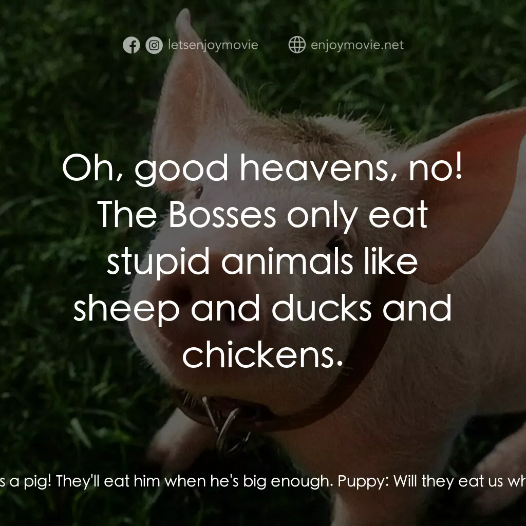 寶貝小豬嘜電影對白：Puppy:  What is it, Mom? Fly:  That's a pig! They'll eat him when he's big enough
