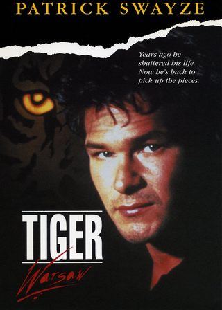 《老虎華沙》電影海報