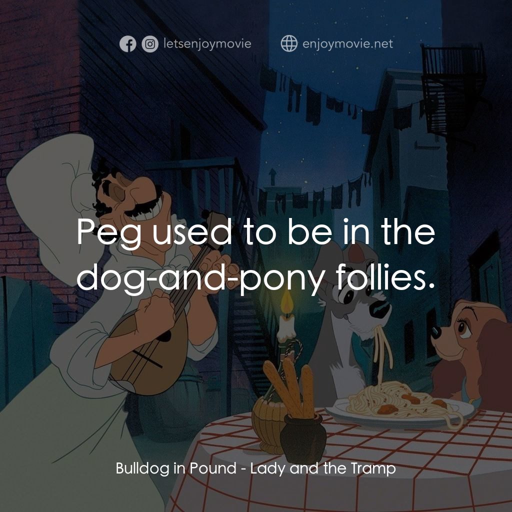 小姐與流氓電影對白：Bulldog in Pound: Peg used to be in the dog-and-pony follies.