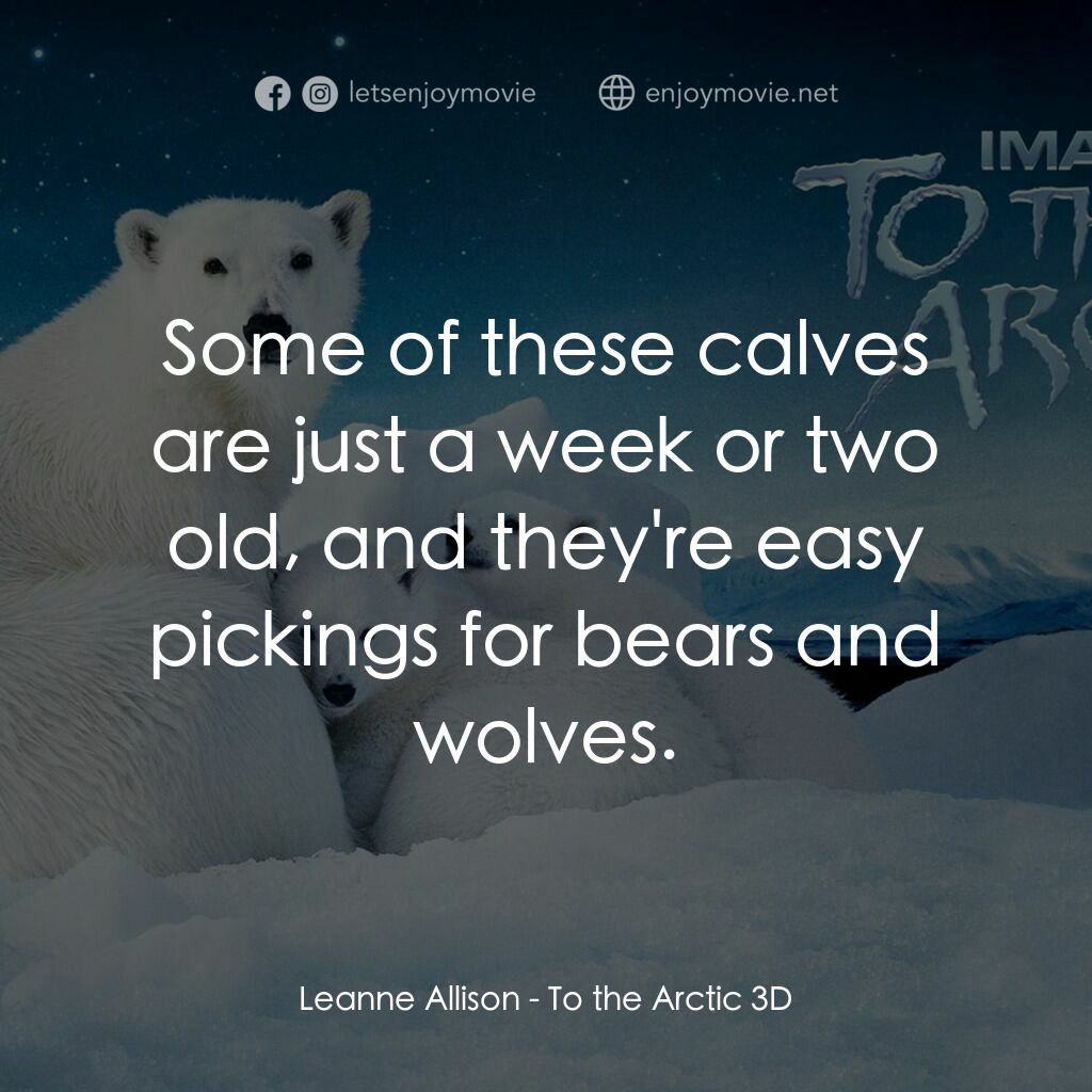 到北極去電影對白：Leanne Allison:  Some of these calves are just a week or two old, and they're eas