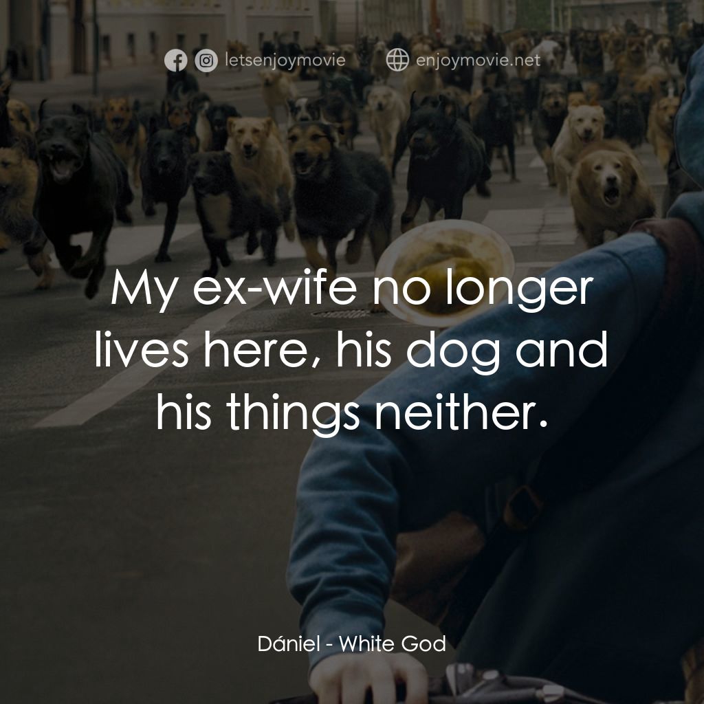 狗眼看人間電影對白：Dániel: My ex-wife no longer lives here, his dog and his things neither.