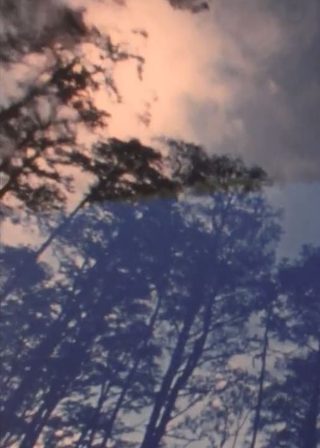 《Wilderness: A Country in the Mind》電影海報