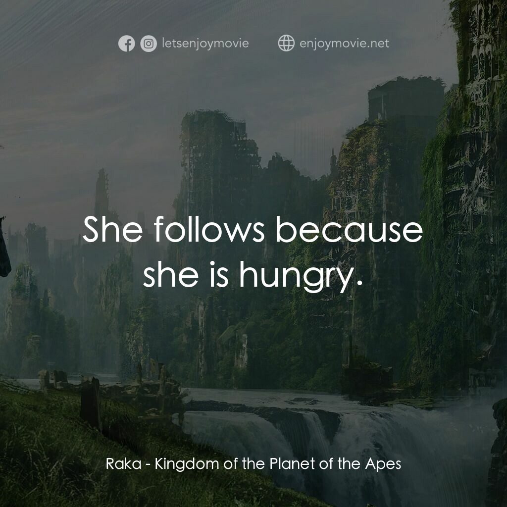 猿人爭霸戰：猩凶帝國電影對白：Raka:  She follows because she is hungry.