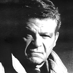 Bob Ingarao 飾演 Schneider