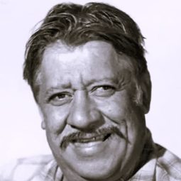 Chris-Pin Martin - Week-End in Havana演員 飾演Driver