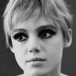 Edie Sedgwick - 再見曼哈頓演員 飾演Susan Superstar