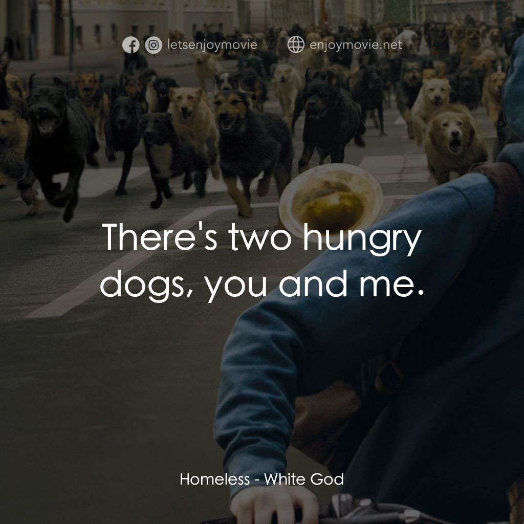 狗眼看人間電影對白：Homeless: There's two hungry dogs, you and me.