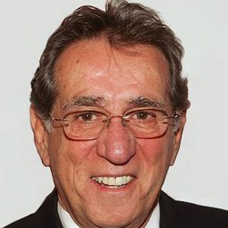 Frank Pellegrino - 求婚腦震盪演員 飾演Sante