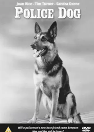 《Police Dog》電影海報