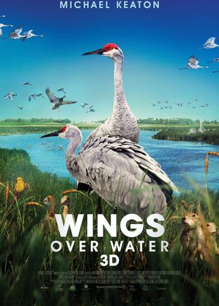 《Wings Over Water》電影海報