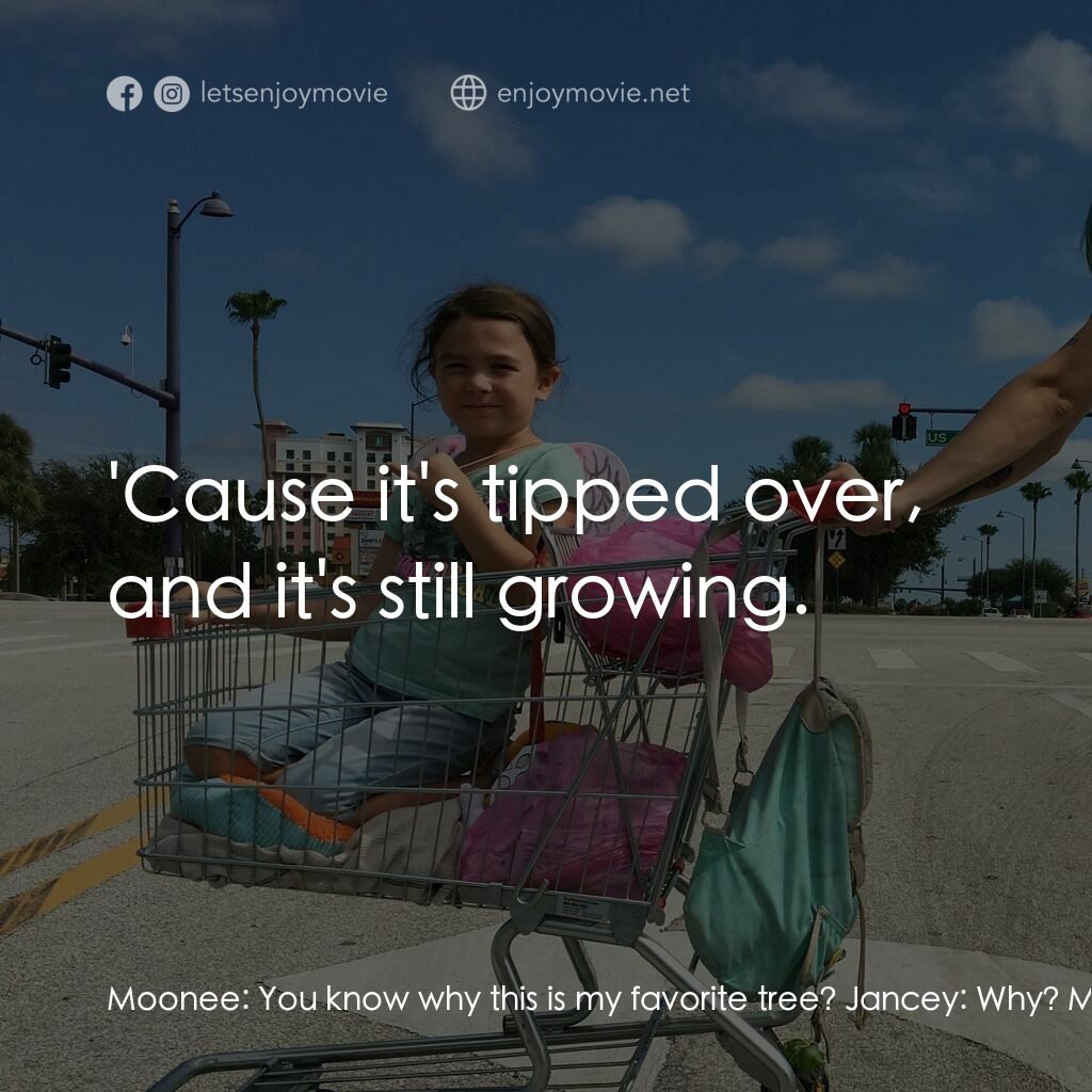 歡迎光臨夢幻樂園電影對白：Moonee:  You know why this is my favorite tree? Jancey:  Why? Moonee:  'Cause it'