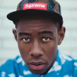 Tyler, the Creator - 橫衝直闖演員 飾演Wally